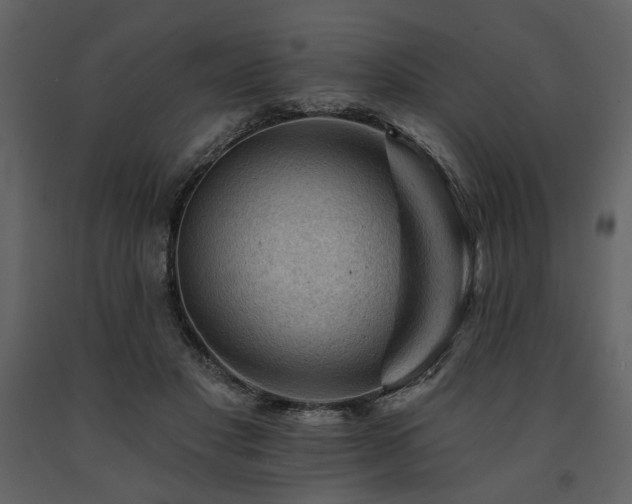 X0000091670501200708231332