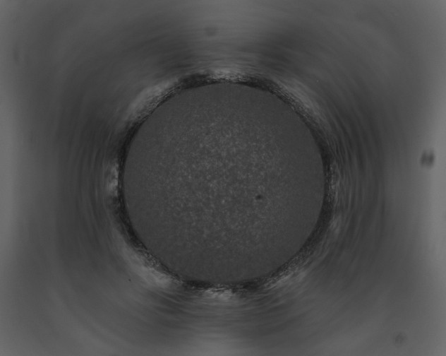 X0000091670502200708231332
