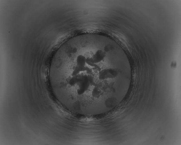 X0000091670503200708231332