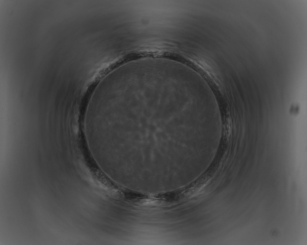 X0000091670504200708231332