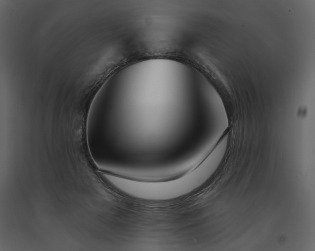 X0000091670505200708231332