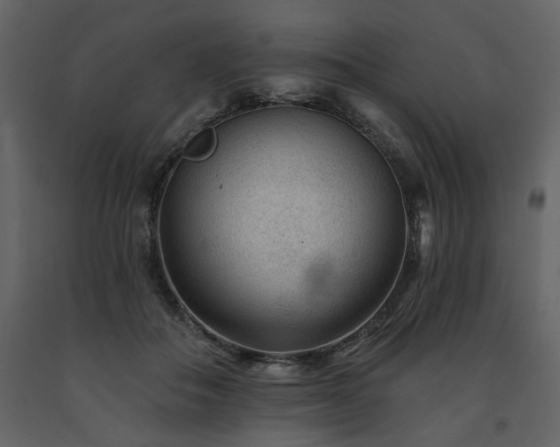 X0000091670506200708231332