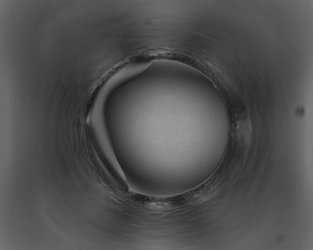 X0000091670508200708231332