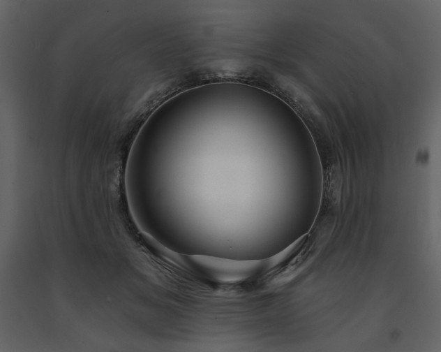 X0000091670509200708231332