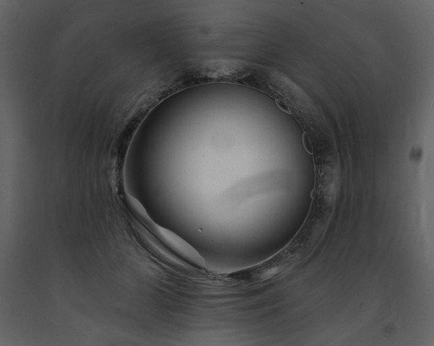 X0000091670510200708231332