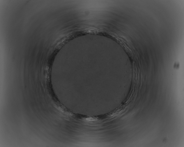 X0000091670511200708231332