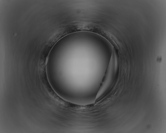 X0000091670513200708231332