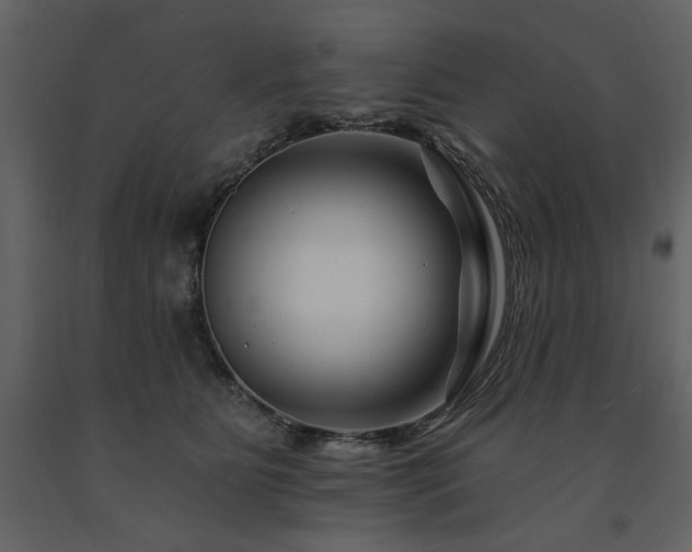 X0000091670515200708231332