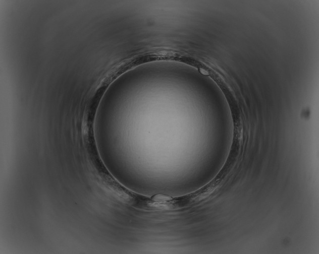 X0000091670516200708231332