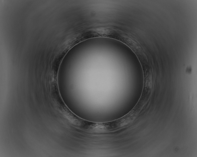 X0000091670518200708231332