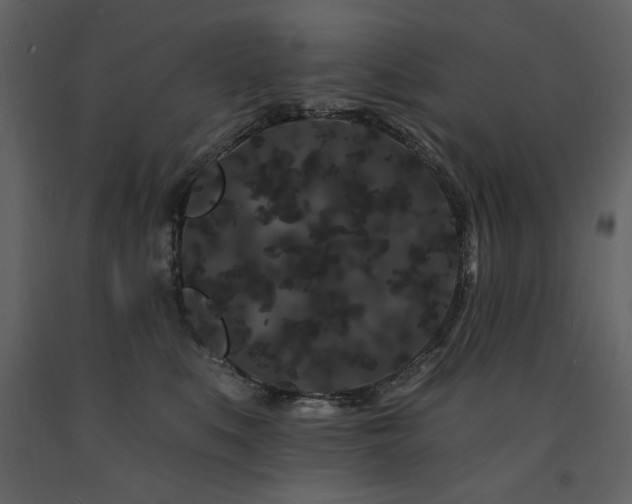 X0000091670519200708231332