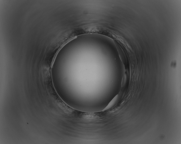 X0000091670521200708231332