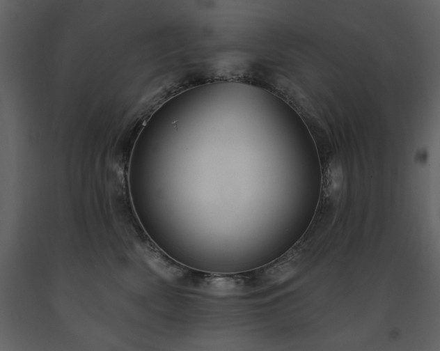 X0000091670522200708231332