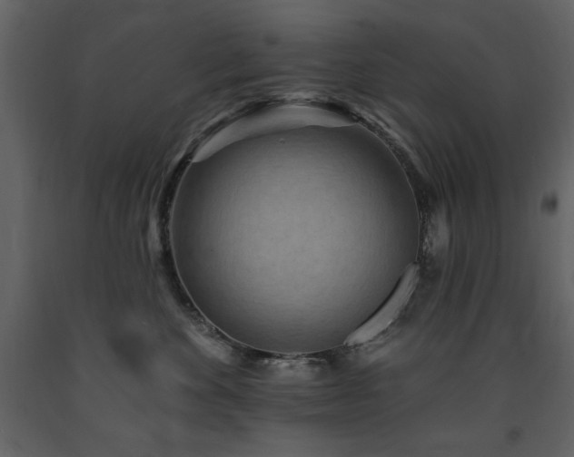 X0000091670524200708231332