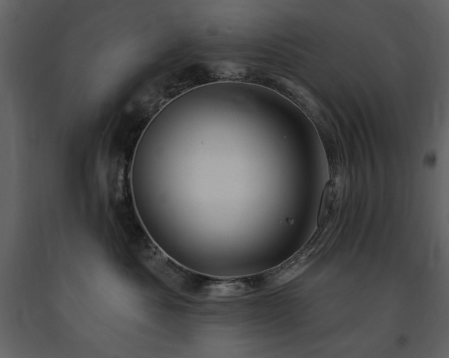 X0000091670525200708231332