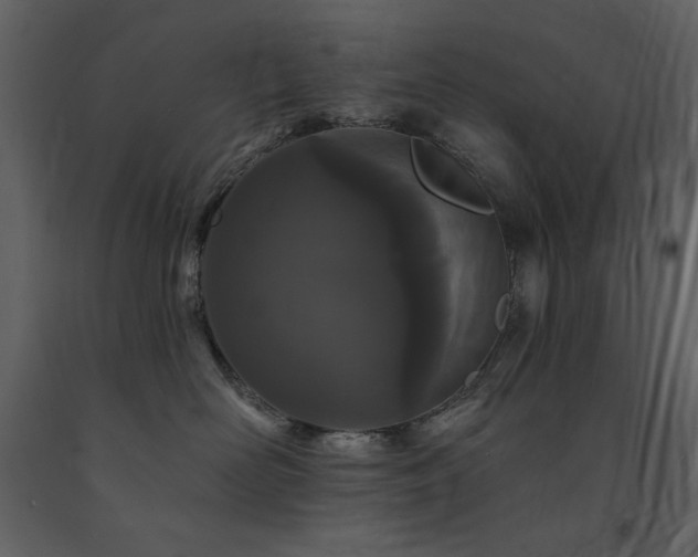 X0000091670526200708231332