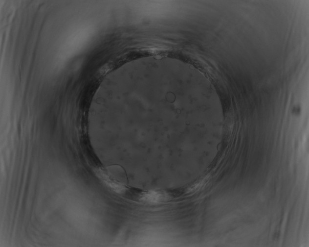 X0000091670527200708231332