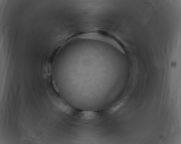 X0000091670528200708231332