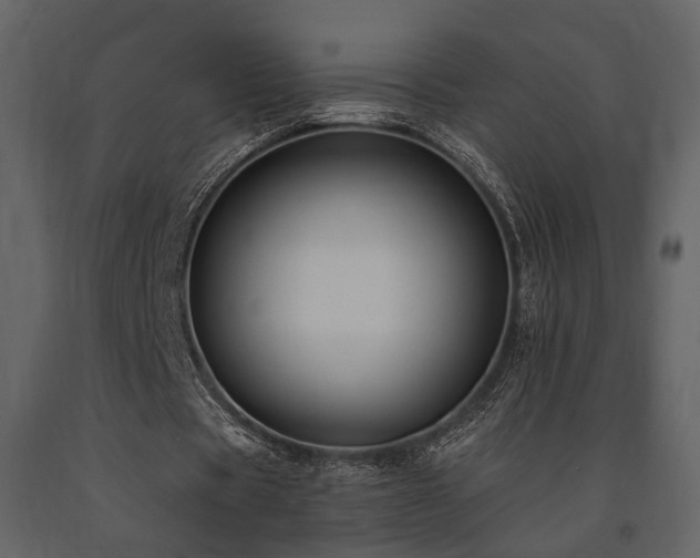 X0000091670529200708231331
