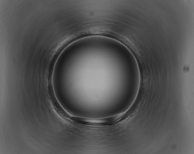 X0000091670530200708231331