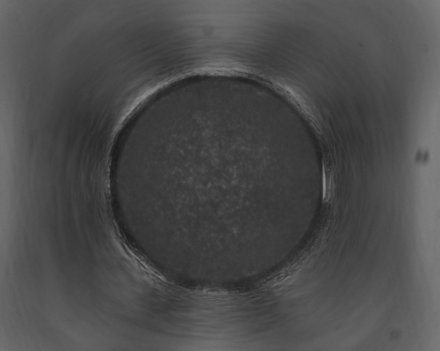 X0000091670531200708231331