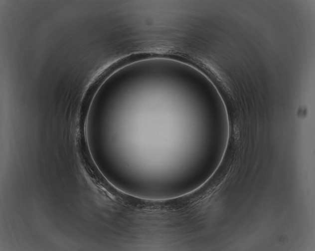 X0000091670532200708231331