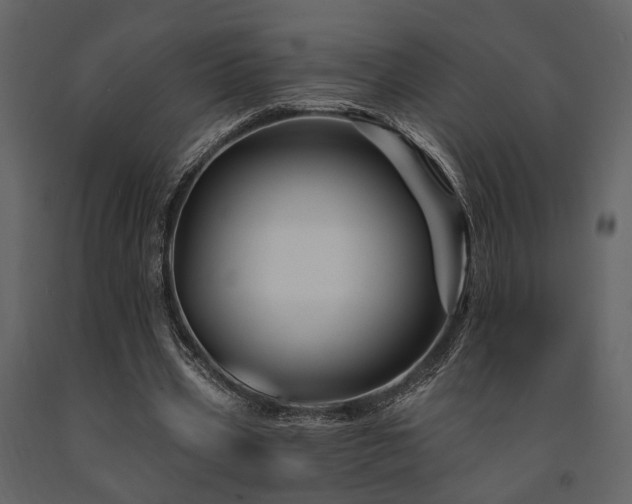 X0000091670533200708231331