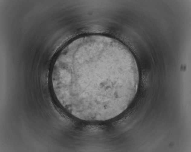 X0000091670534200708231331