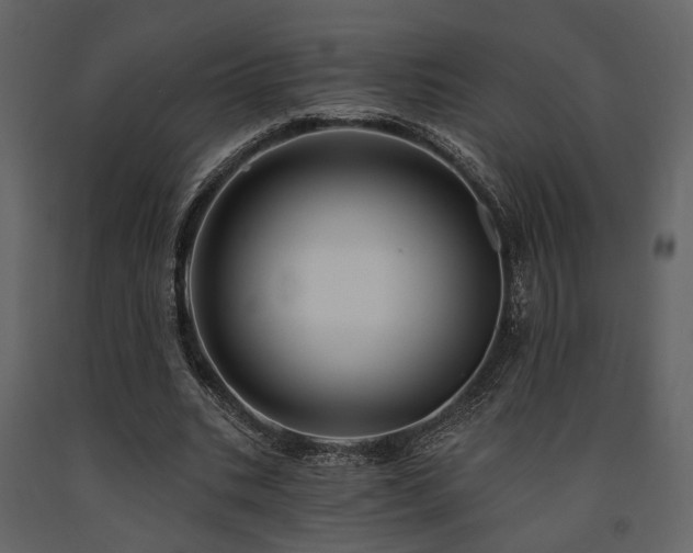 X0000091670535200708231331