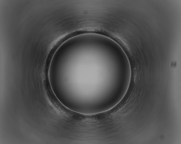 X0000091670536200708231331