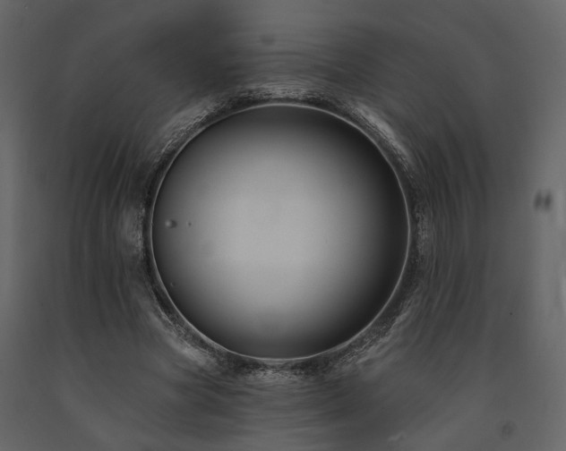 X0000091670537200708231331