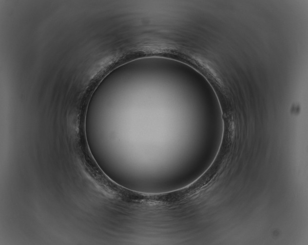 X0000091670539200708231331