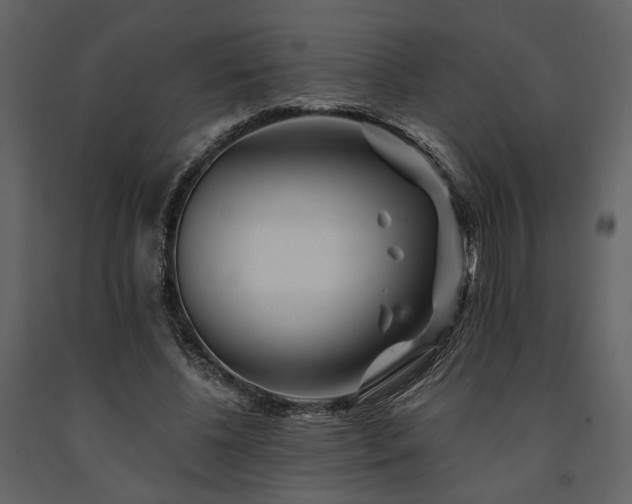 X0000091670540200708231331