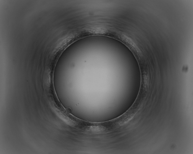 X0000091670541200708231331