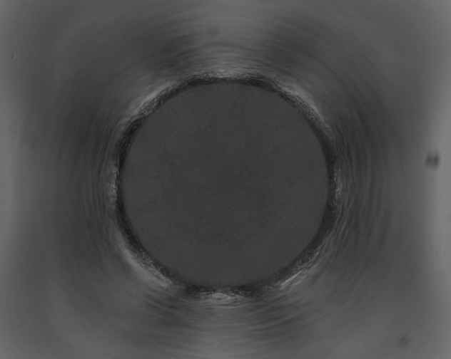 X0000091670542200708231331