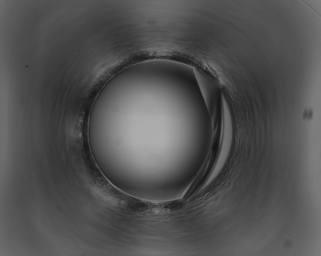 X0000091670543200708231331
