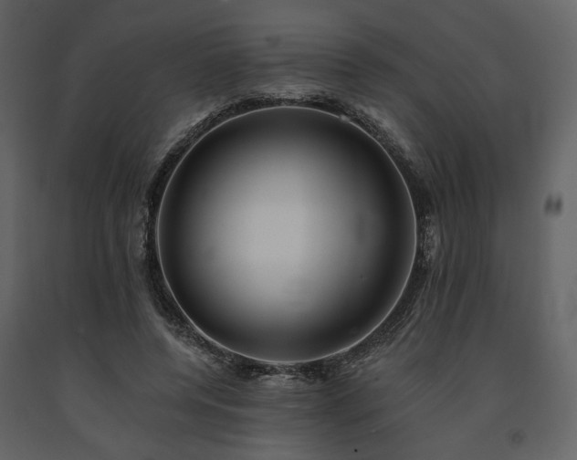 X0000091670544200708231331