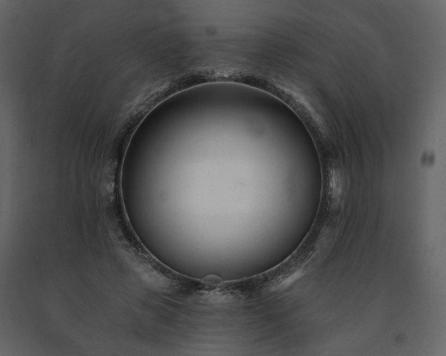 X0000091670545200708231331
