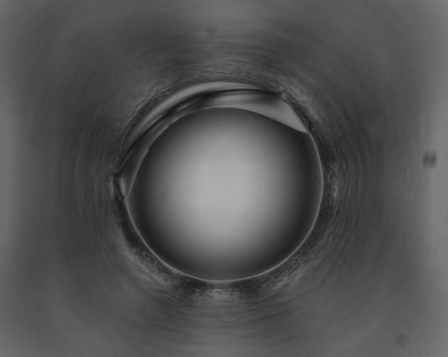 X0000091670546200708231332