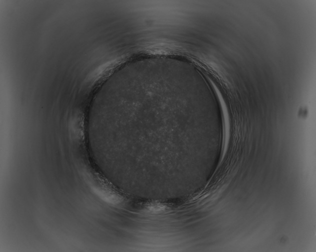 X0000091670547200708231332