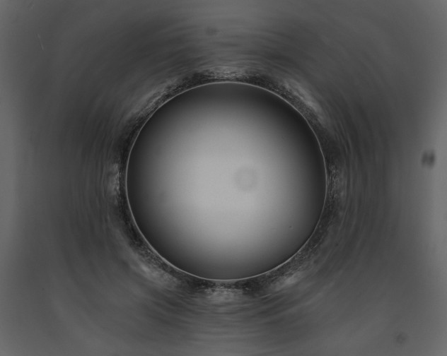 X0000091670549200708231332