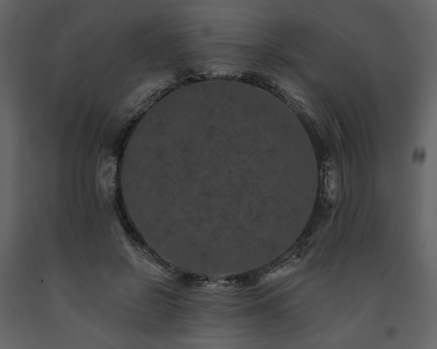 X0000091670550200708231332
