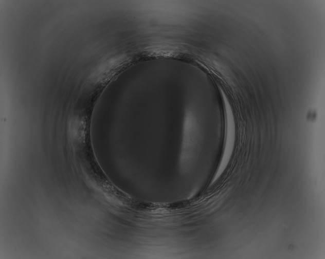 X0000091670551200708231332
