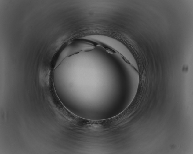 X0000091670552200708231332