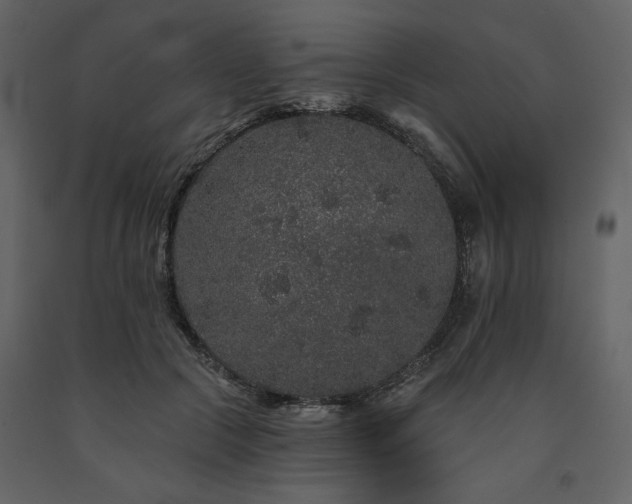 X0000091670553200708231332