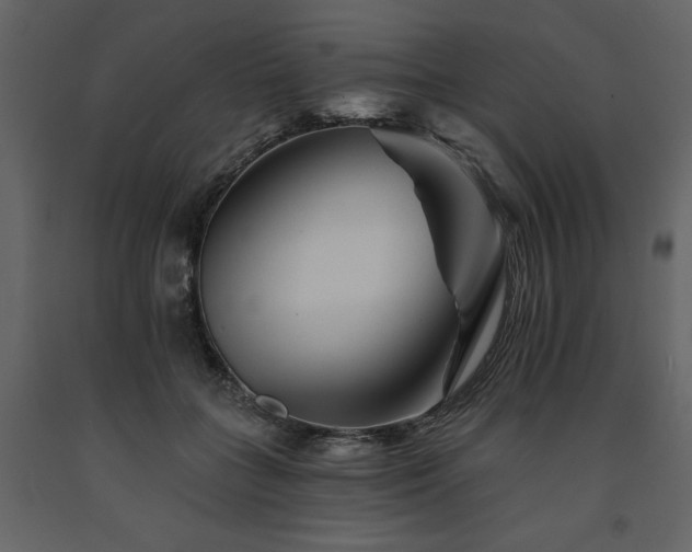 X0000091670555200708231332