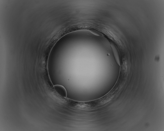 X0000091670557200708231332
