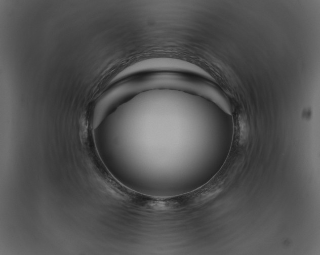 X0000091670558200708231332
