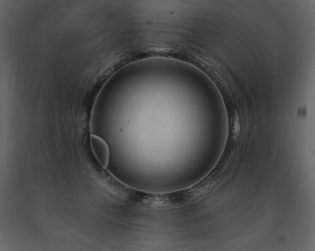 X0000091670559200708231332
