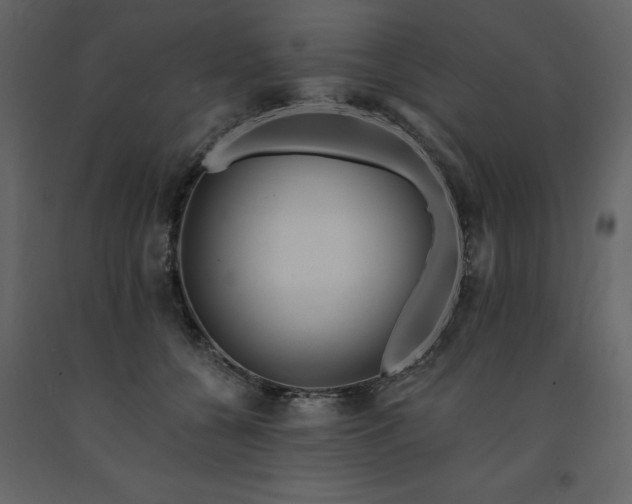 X0000091670560200708231332